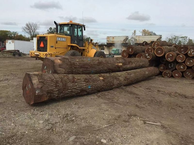 ประเทศจีน Dongguan Yinghui Wood Industry Co., Ltd. รายละเอียด บริษัท