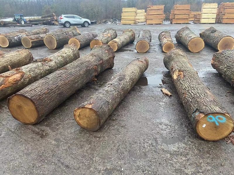 ประเทศจีน Dongguan Yinghui Wood Industry Co., Ltd. รายละเอียด บริษัท