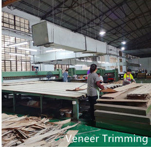Dongguan Yinghui Wood Industry Co., Ltd. สายการผลิตผู้ผลิต