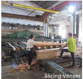 Dongguan Yinghui Wood Industry Co., Ltd. สายการผลิตผู้ผลิต